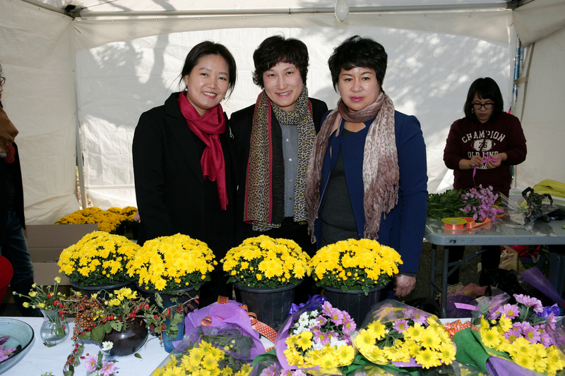 20131025-006.JPG