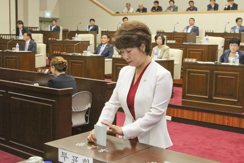 20180702-040[536A0013-제223회 임시회 제1차 본회의시 의장선거.JPG