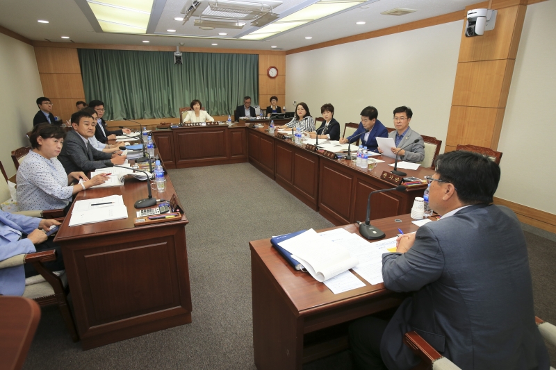 20180904-002[AP7U0045-제225회 정례회 기획행정위원회 조례안 심사활동.JPG