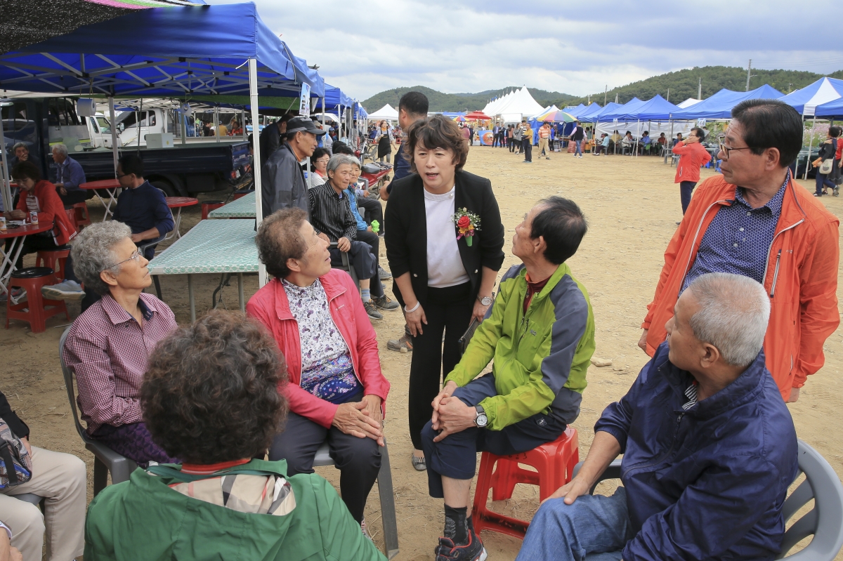 20180928-118[AP7U2190-제12회 장천 코스모스 축제.JPG