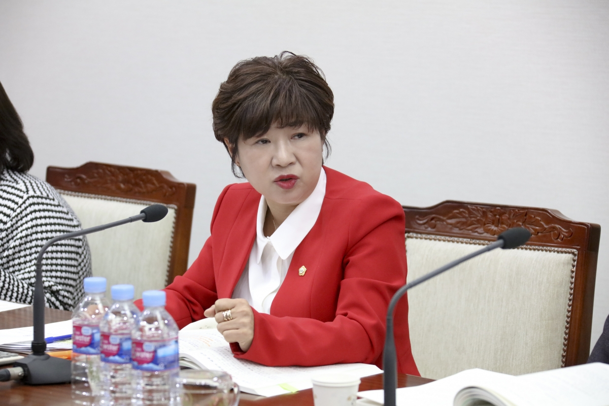 20181023-048[IMG_1741-제226회 임시회 기획행정위원회 소관 2019년도 주요업무계획안 청취.JPG