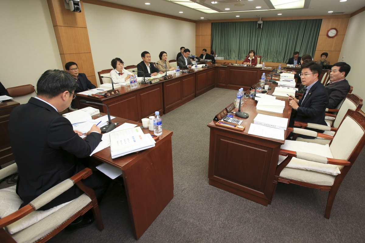 20181024-002[AP7U4221-제226회 임시회 기획행정위원회 소관 2019년도 주요업무계획안 청취.JPG