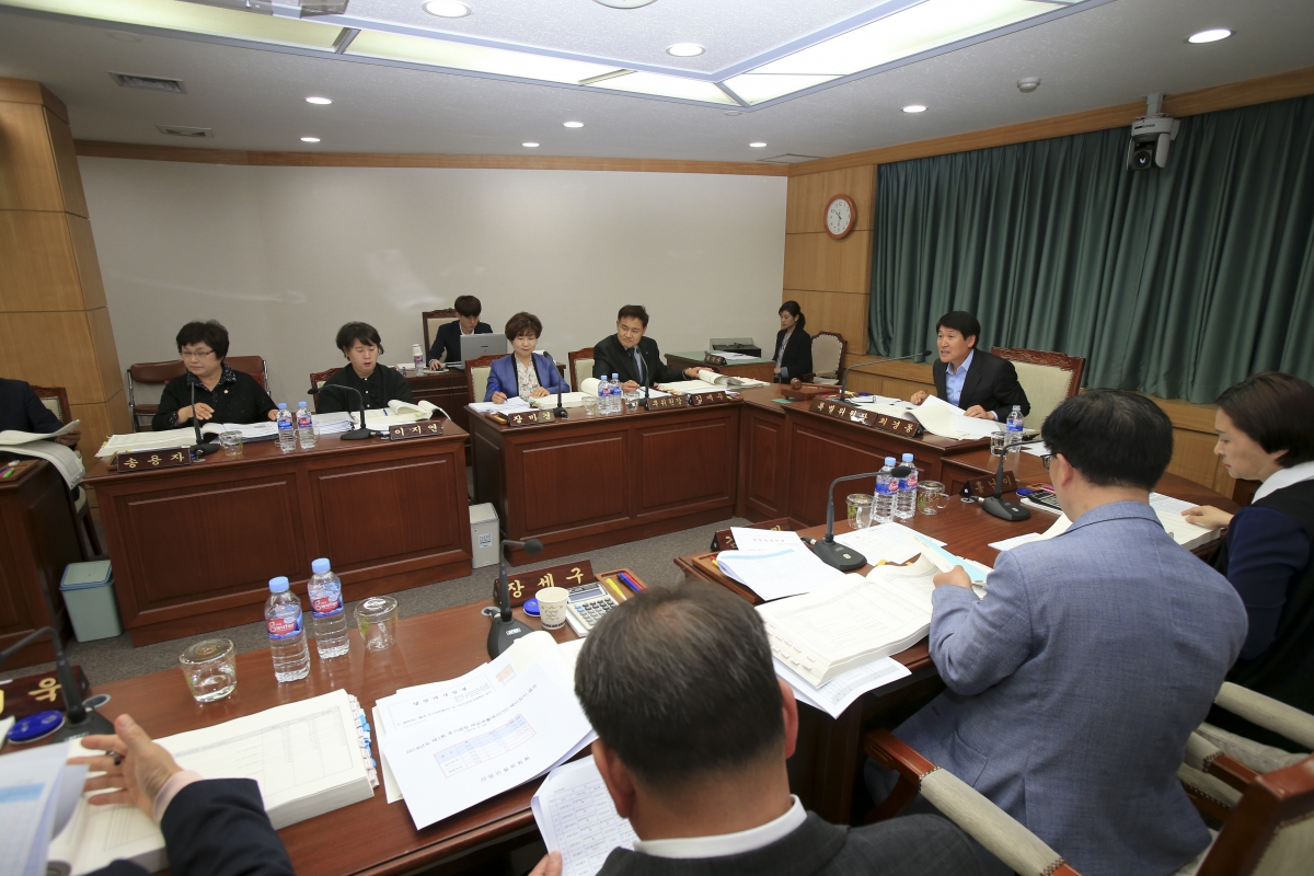 20190430-010[AP7U7085-제230회 임시회 예산결산특별위원회 2019년도 제1회 추가경정예산안 심사.jpg