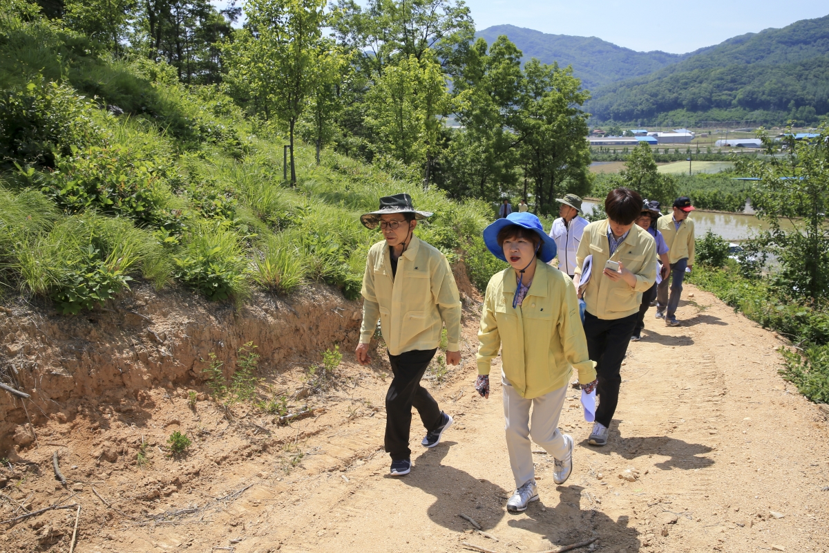 20190530-002[AP7U8163-행정조사특별위원회 무을면 오가리 돌배나무 특화숲 조성지 현장방문.jpg