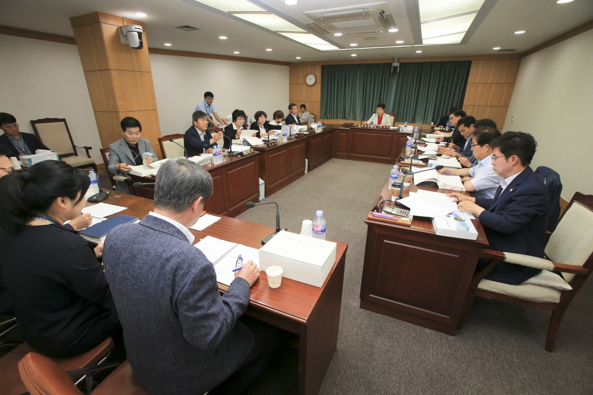 20190620-004[AP7U9292-제231회 정례회 예산결산특별위원회 2018회계연도 세입세출결산승인안 심사활동.jpg