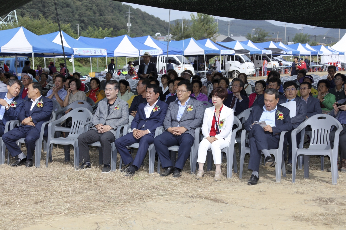 20190920-060[IMG_4910-제13회 장천코스모스 축제.jpg